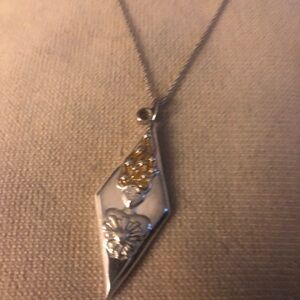 Jarin Kasi?  Sterling Silver & 14kt Gold Pendant Necklace - $40 or $35 w/offer